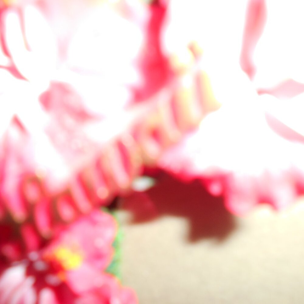 2 Decorative Picture Frames with Flowers - Picture 4 of 5